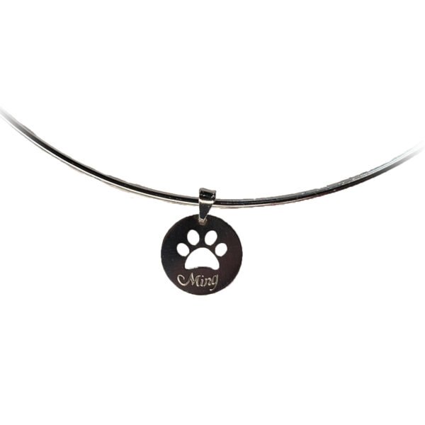 Encomenda - Patinha Cachorro Personalizada